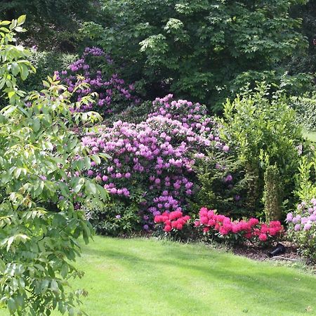 Bed & Breakfast Op 'T Leven Ермело Екстер'єр фото